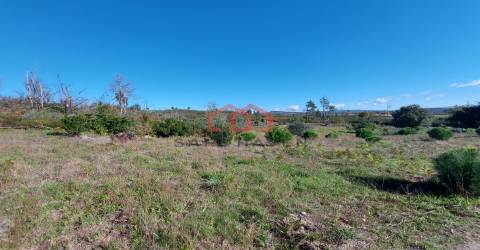 Quintinha  Venda em Cunha Baixa,Mangualde