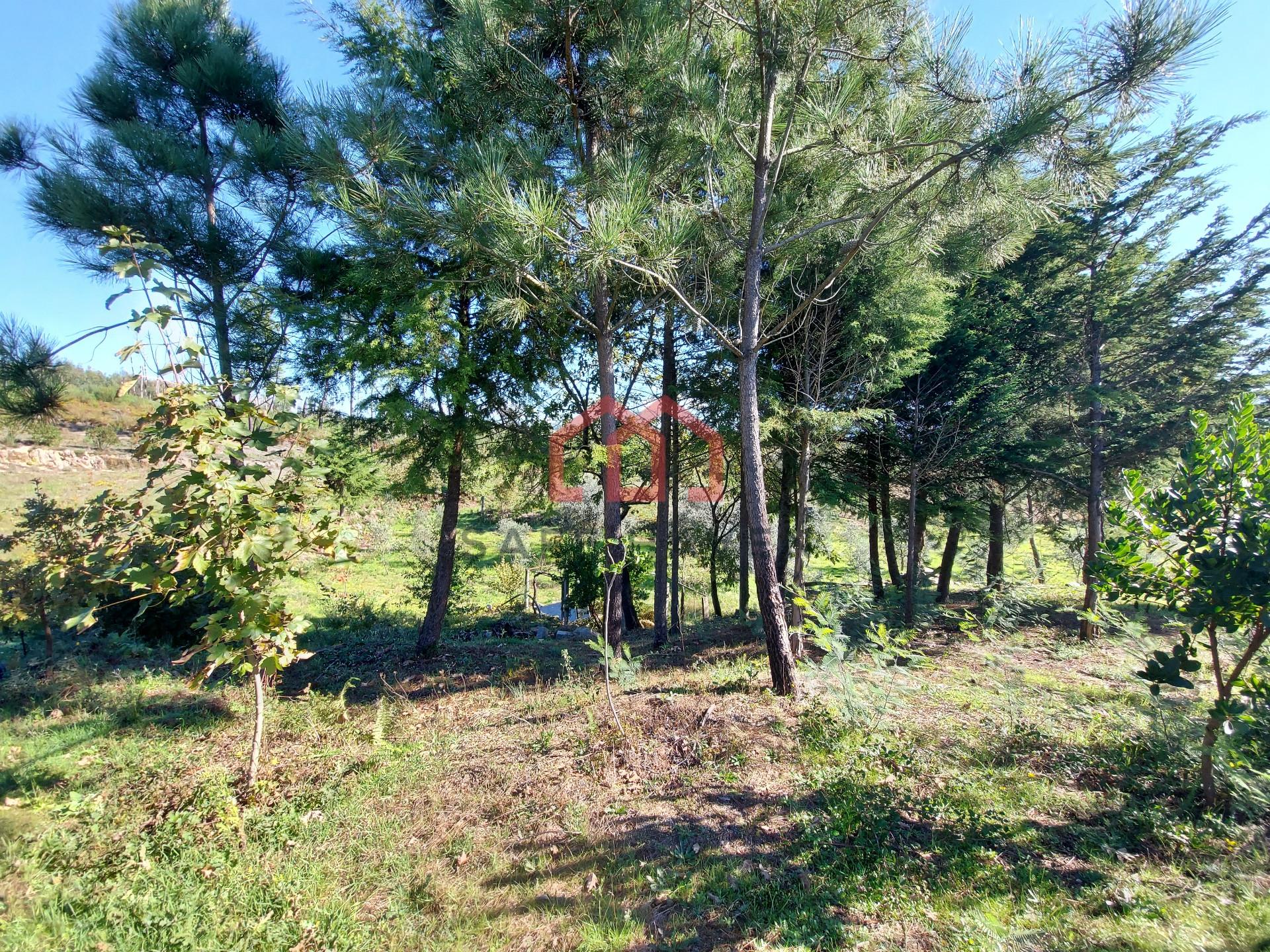 Quintinha  Venda em Cunha Baixa,Mangualde