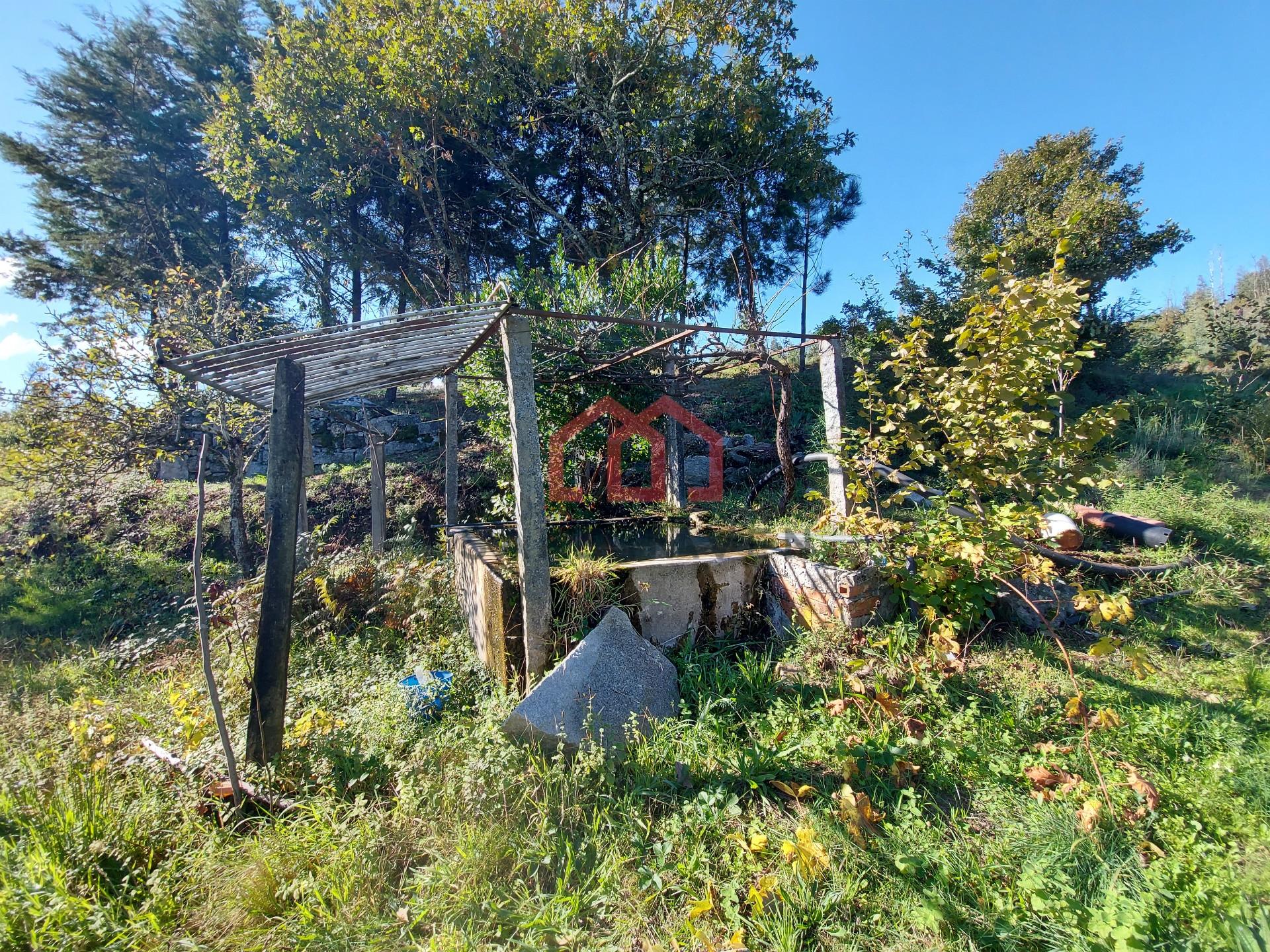 Quintinha  Venda em Cunha Baixa,Mangualde