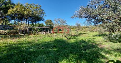 Quintinha  Venda em Cunha Baixa,Mangualde