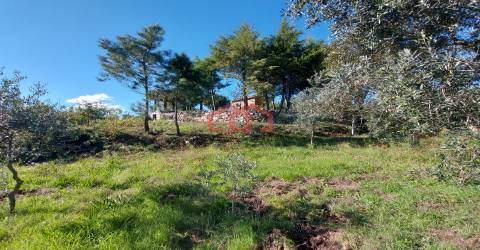 Quintinha  Venda em Cunha Baixa,Mangualde