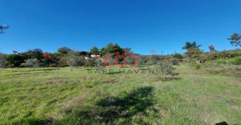 Quintinha  Venda em Cunha Baixa,Mangualde