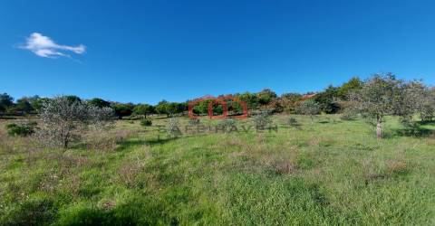 Quintinha  Venda em Cunha Baixa,Mangualde