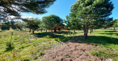 Quintinha  Venda em Cunha Baixa,Mangualde