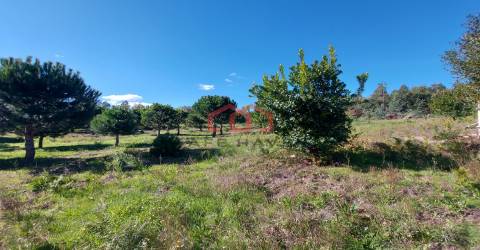 Quintinha  Venda em Cunha Baixa,Mangualde