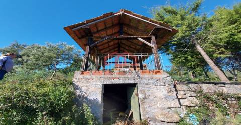 Quintinha  Venda em Cunha Baixa,Mangualde