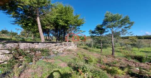 Quintinha  Venda em Cunha Baixa,Mangualde