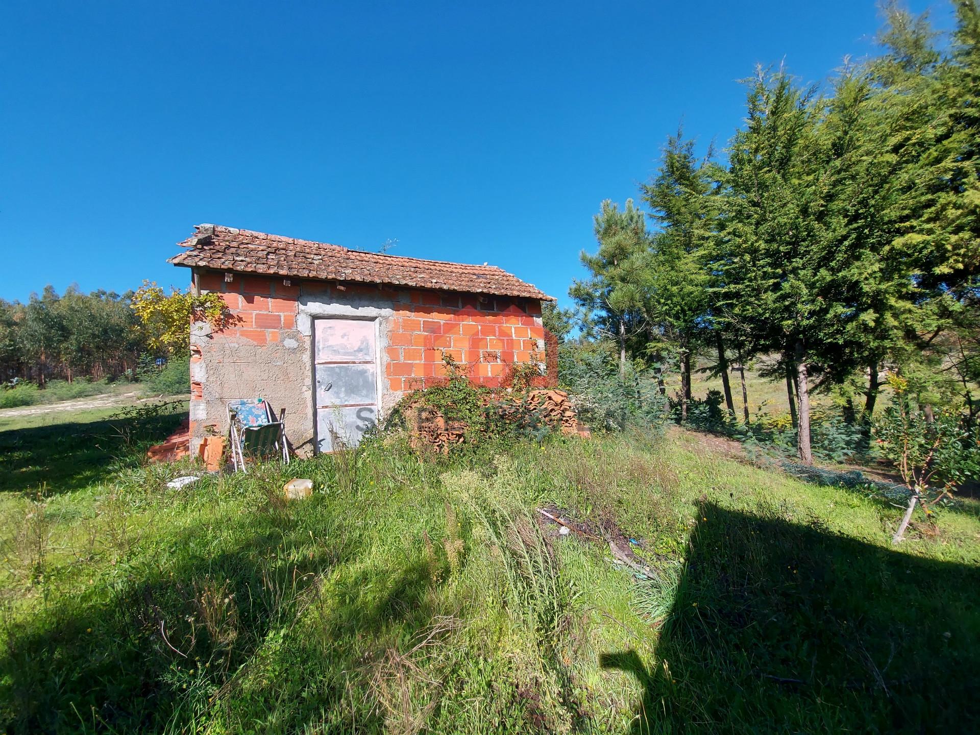 Quintinha  Venda em Cunha Baixa,Mangualde