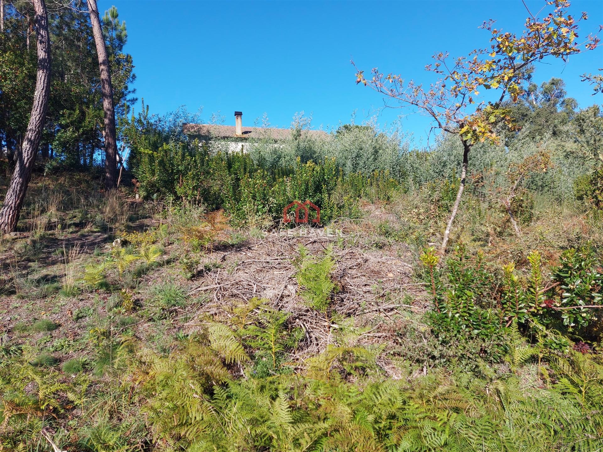 Terreno Para Construção  Venda em Mangualde, Mesquitela e Cunha Alta,Mangualde