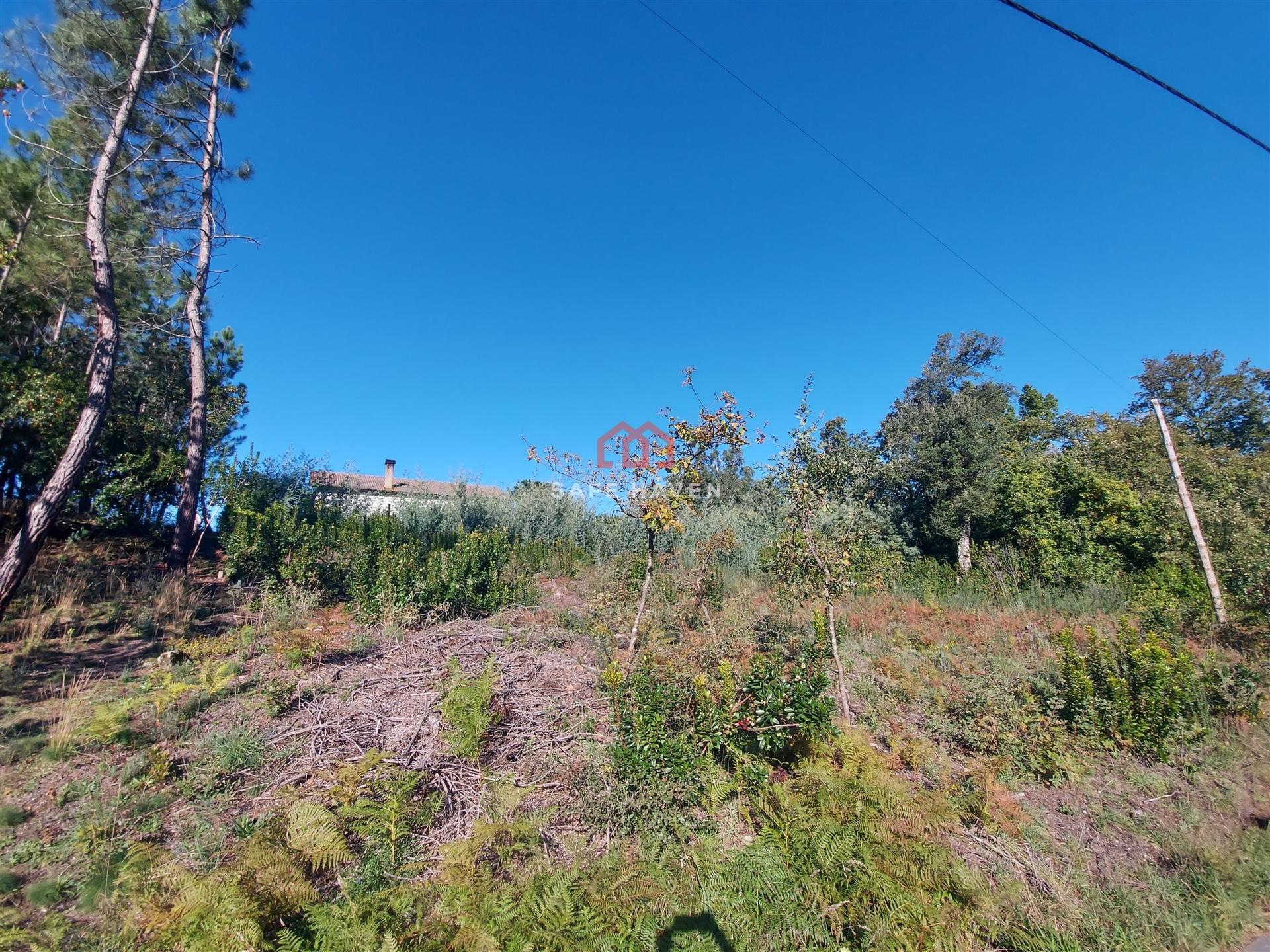 Terreno Para Construção  Venda em Mangualde, Mesquitela e Cunha Alta,Mangualde