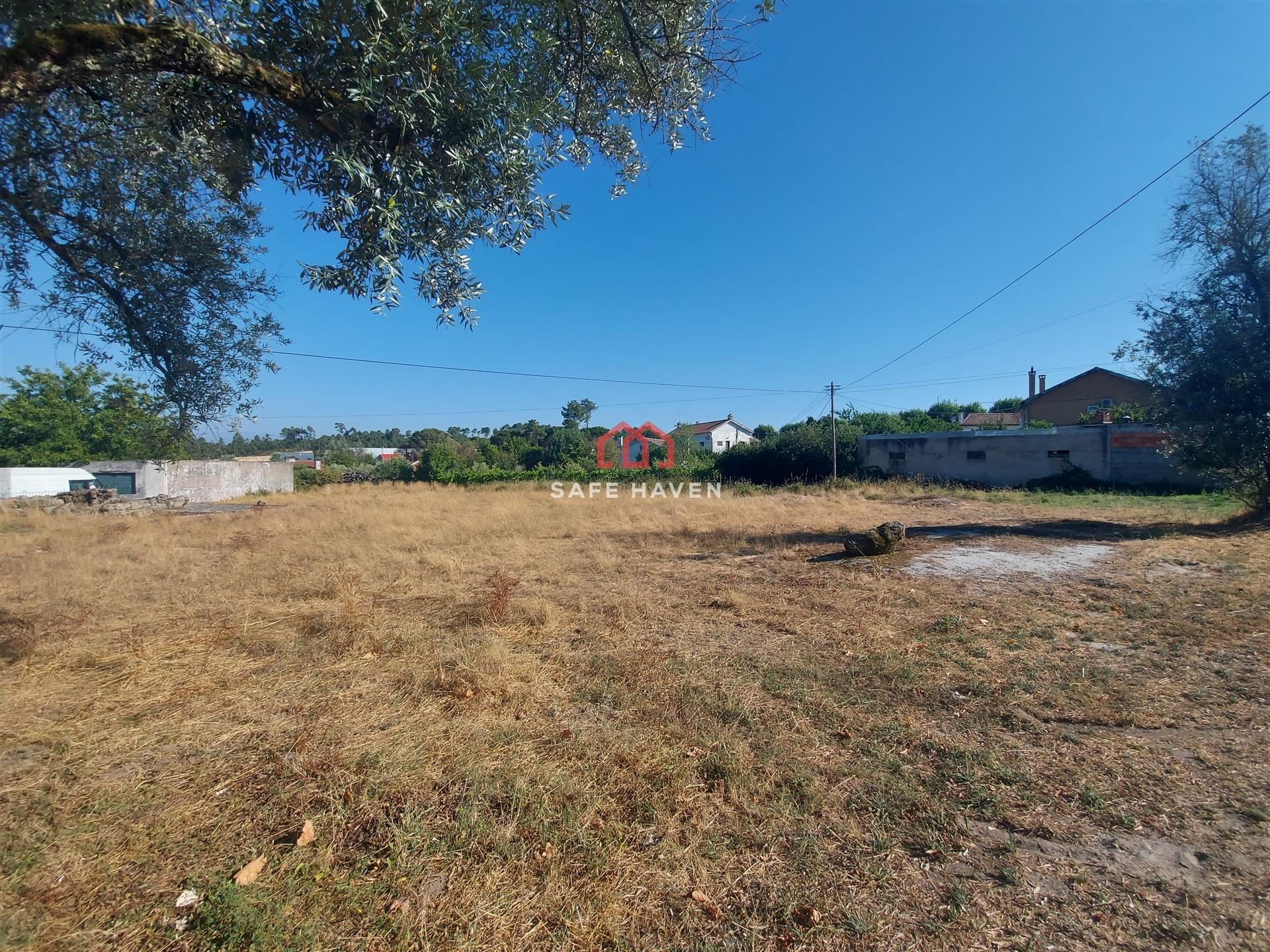 Terreno Para Construção  Venda em Canas de Senhorim,Nelas