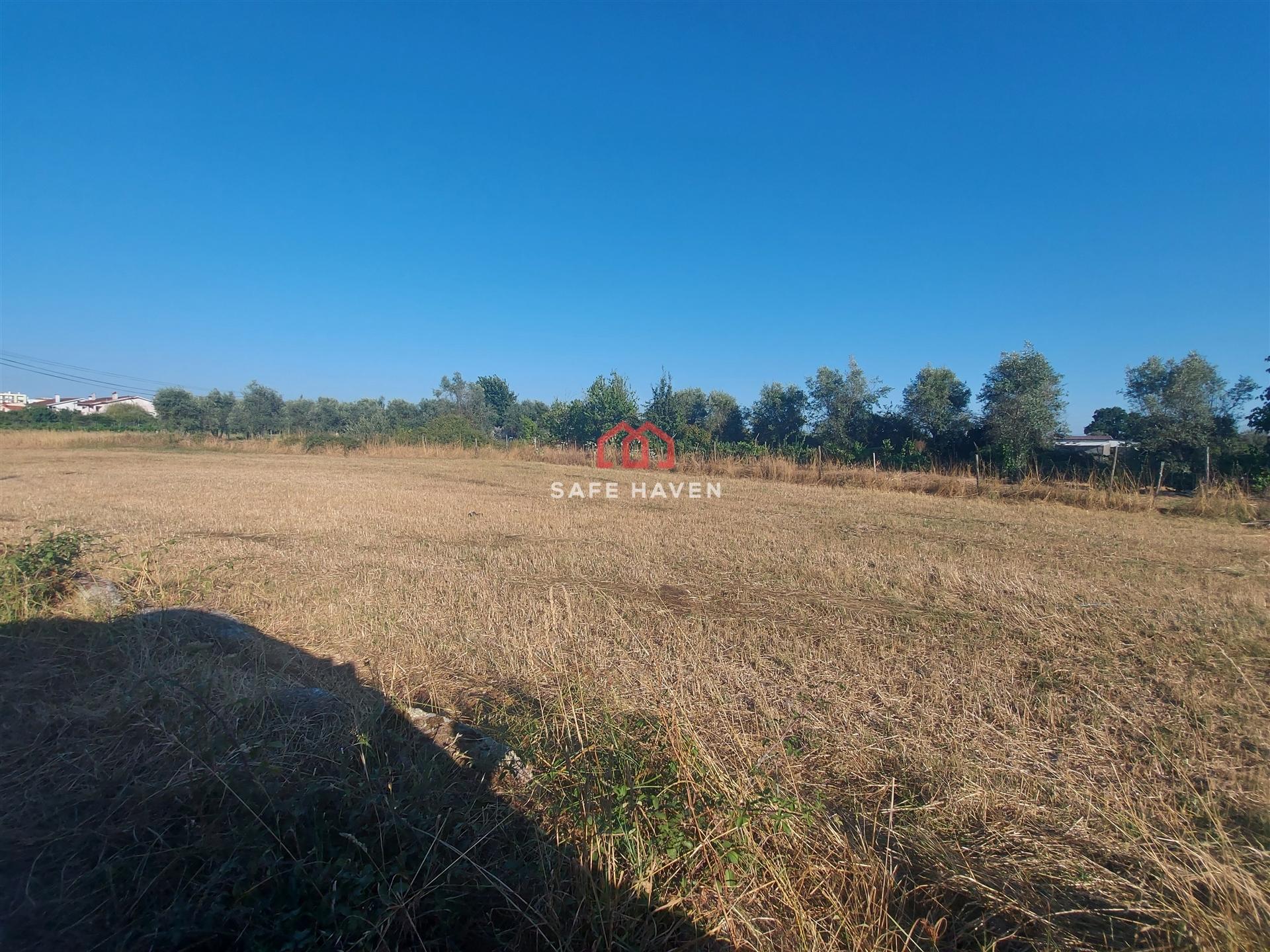 Terreno Para Construção  Venda em Canas de Senhorim,Nelas