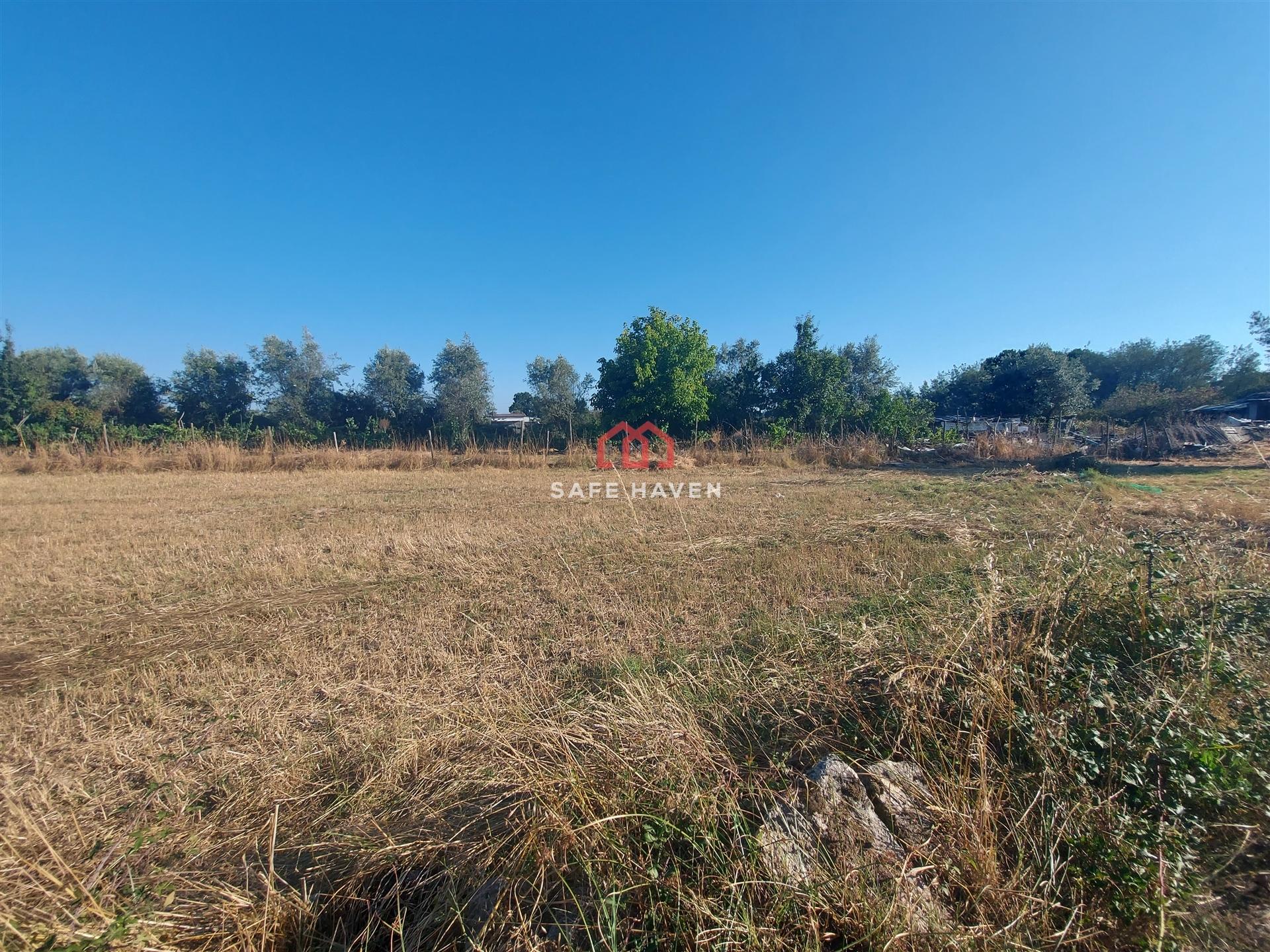 Terreno Para Construção  Venda em Canas de Senhorim,Nelas