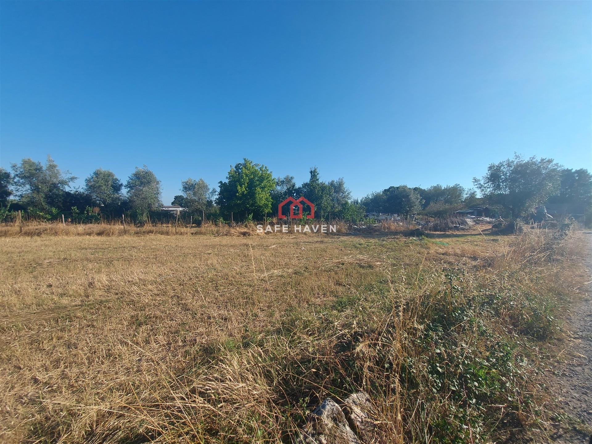 Terreno Para Construção  Venda em Canas de Senhorim,Nelas