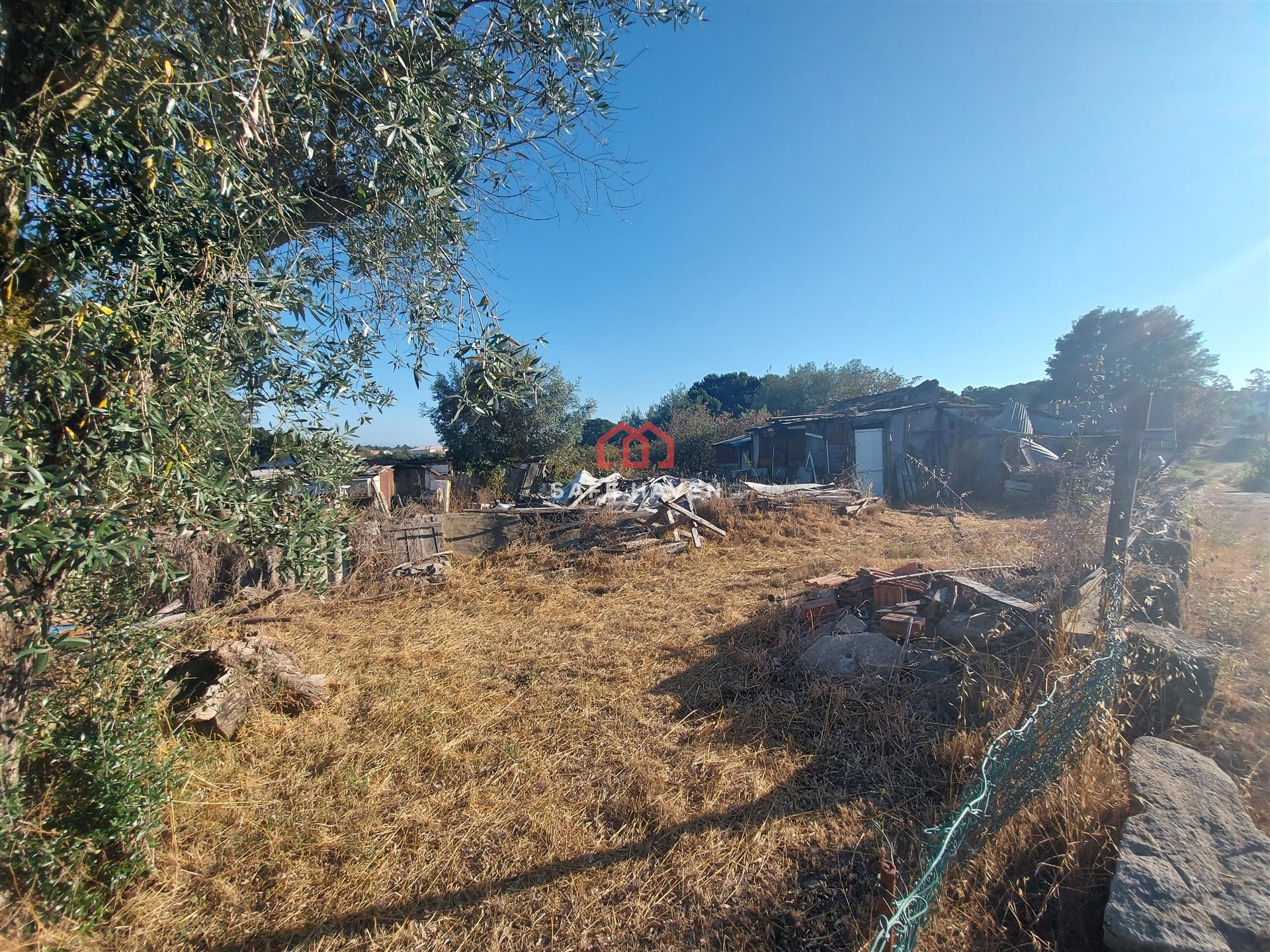 Terreno Para Construção  Venda em Canas de Senhorim,Nelas