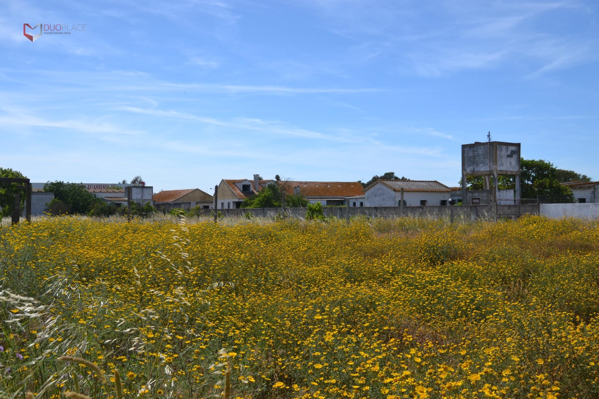 Lote Industrial  Venda em Atalaia e Alto Estanqueiro-Jardia,Montijo