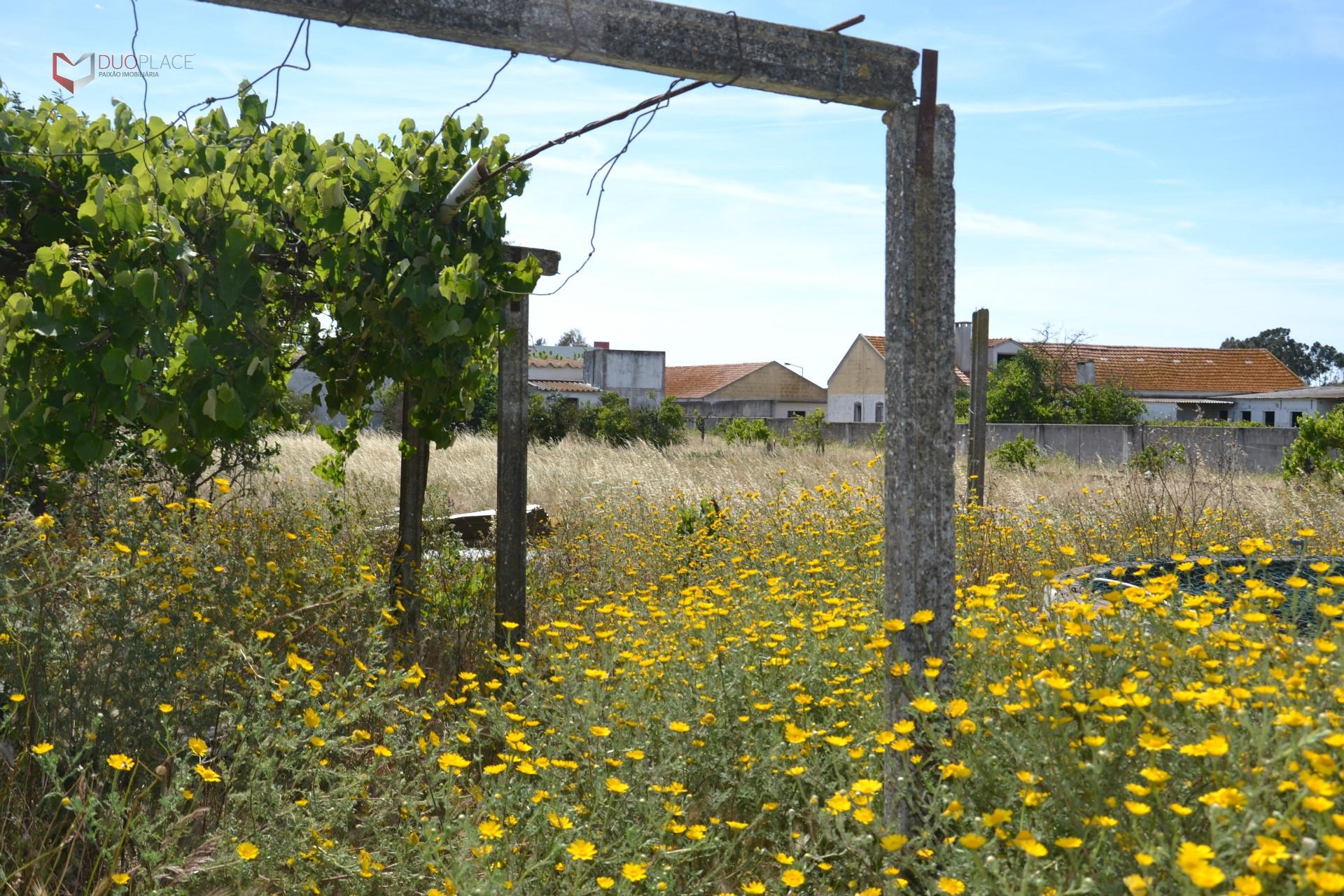 Lote Industrial  Venda em Atalaia e Alto Estanqueiro-Jardia,Montijo