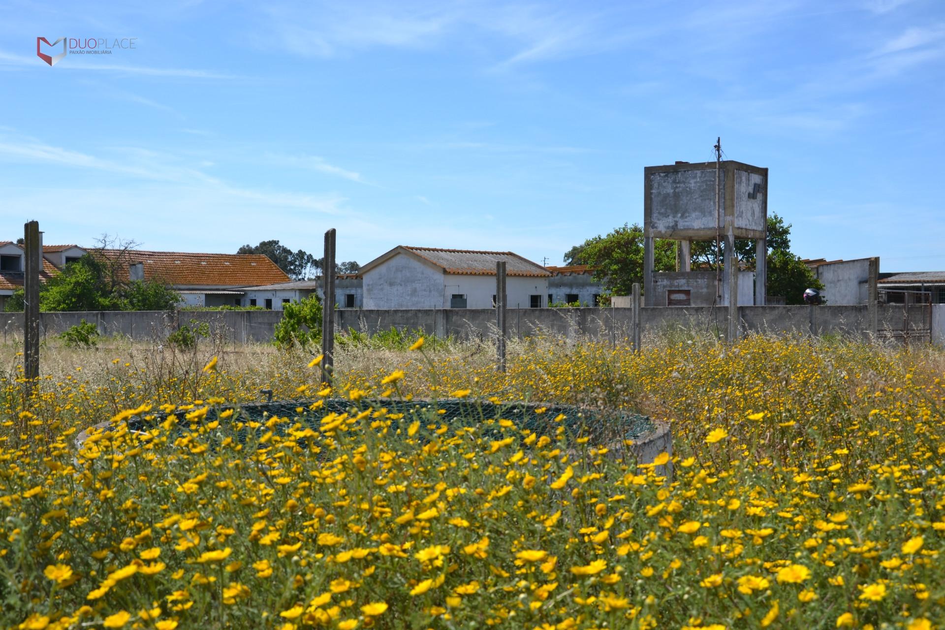 Lote Industrial  Venda em Atalaia e Alto Estanqueiro-Jardia,Montijo