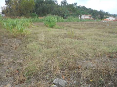Loteamento com 15 lotes - Coimbra