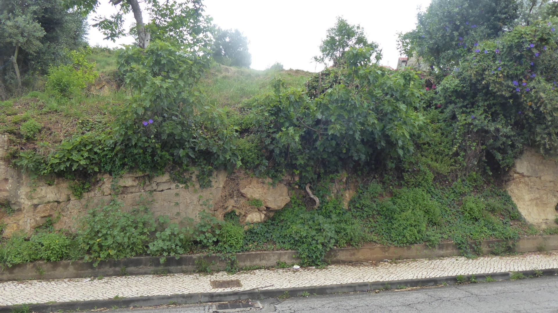 Terreno para construção - Santa Clara, Coimbra.