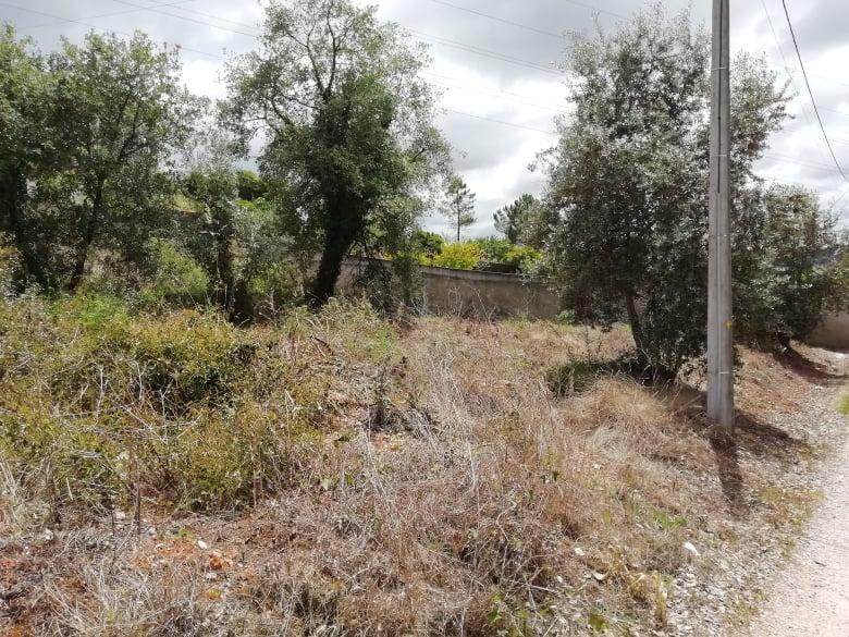 Lote de terreno para construção - Coimbra