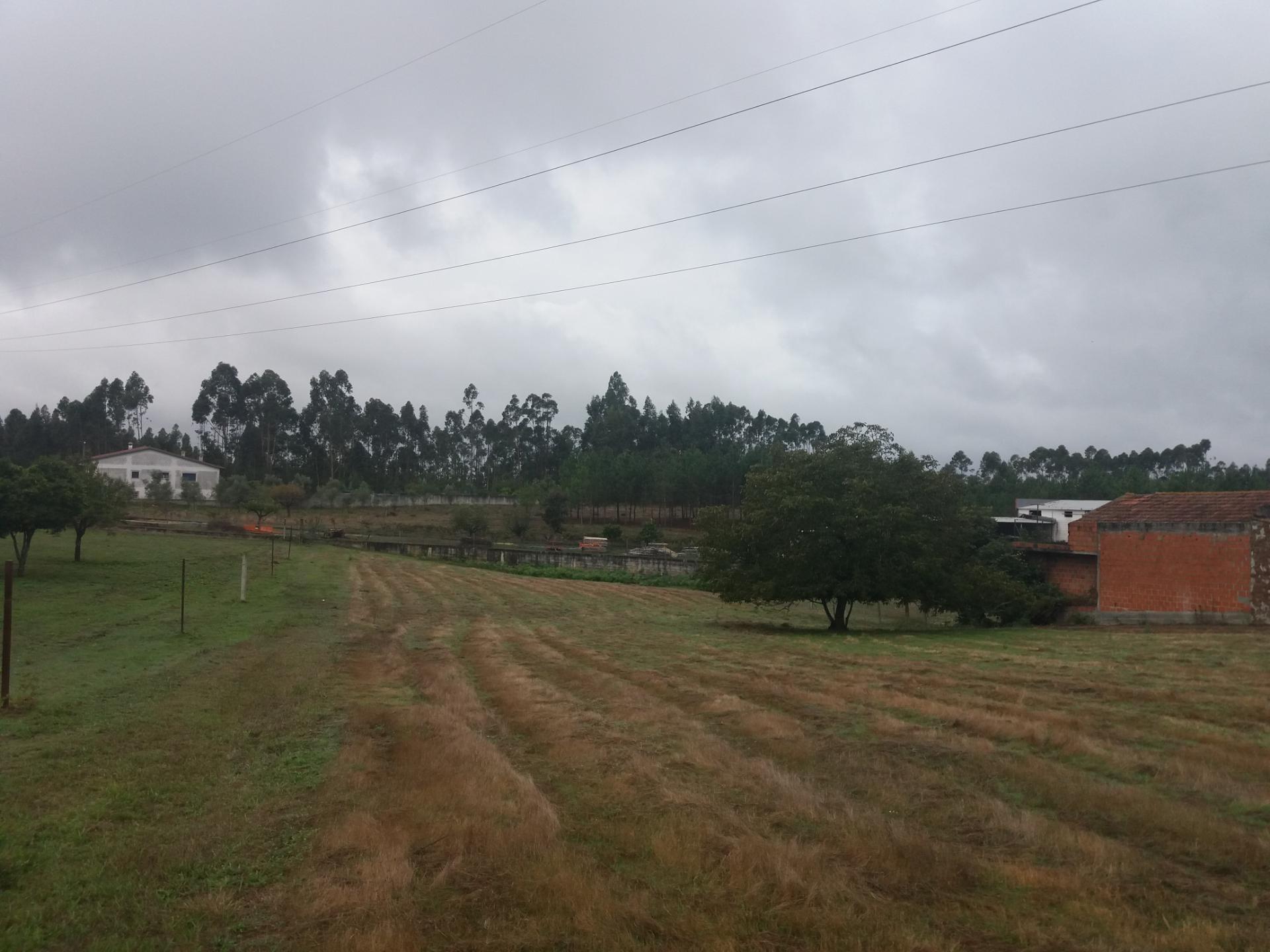 Terreno em Vermoil - Pombal