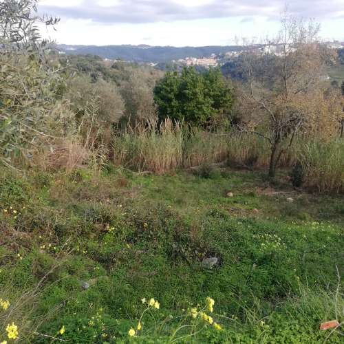 Terreno Urbano - Coimbra