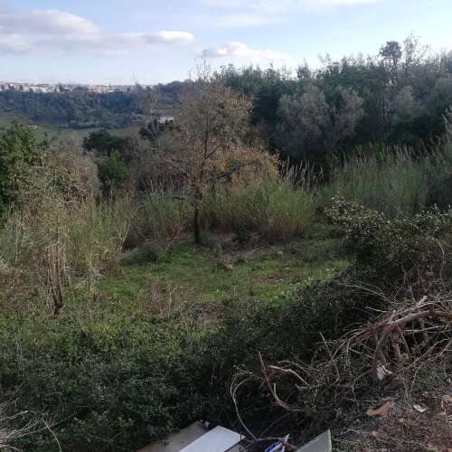 Terreno Urbano - Coimbra