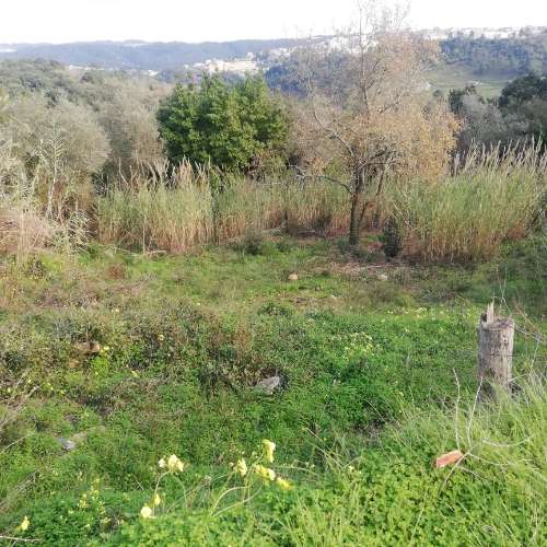 Terreno Urbano - Coimbra