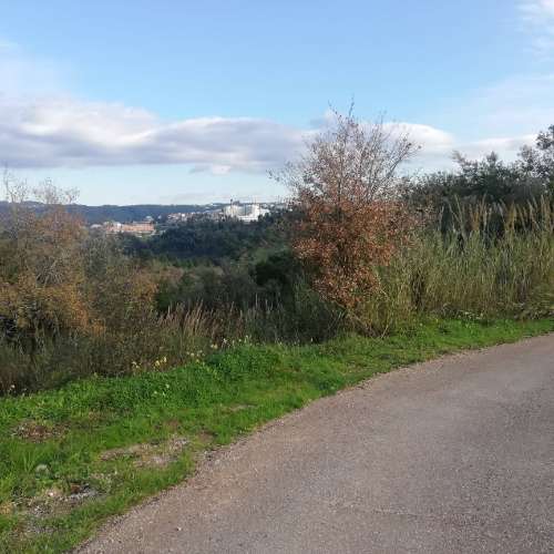 Terreno Urbano - Coimbra