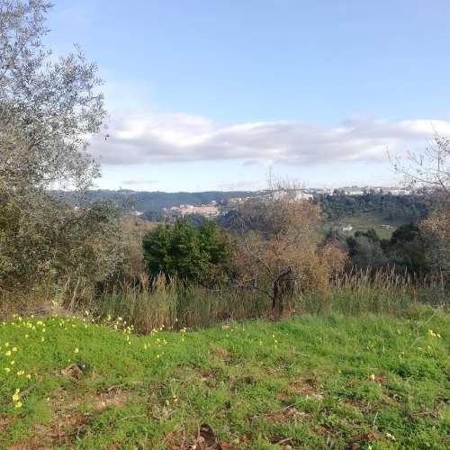 Terreno Urbano - Coimbra