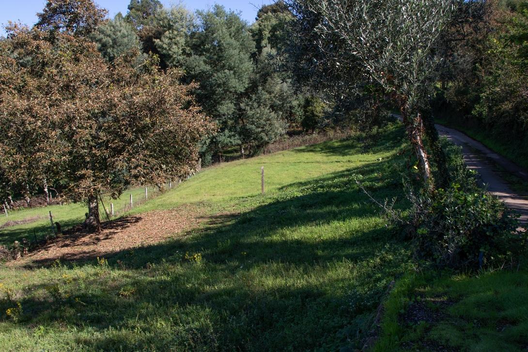 Terreno urbano para construção Serra da Lousã