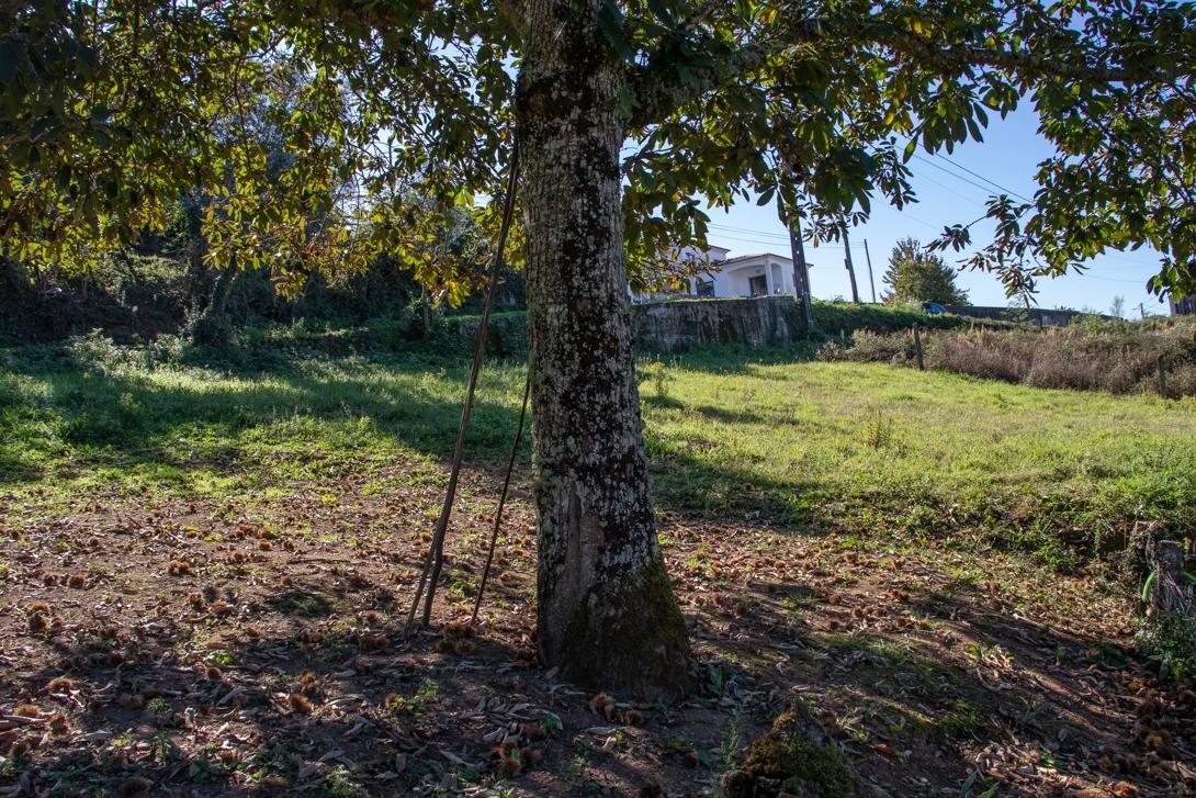 Terreno urbano para construção Serra da Lousã