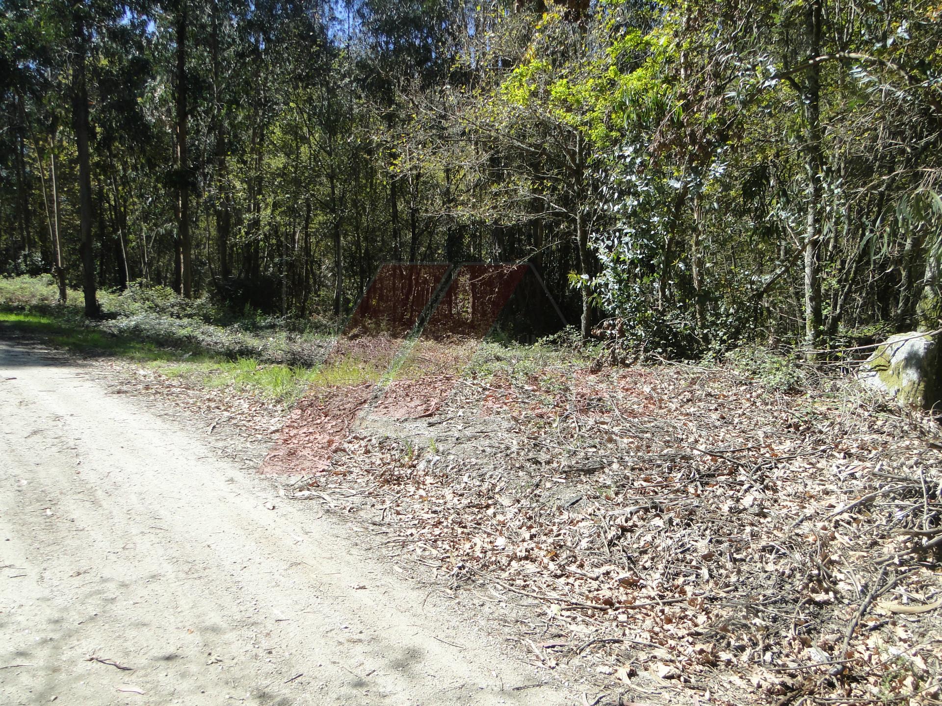 Terreno  Venda em Revelhe,Fafe