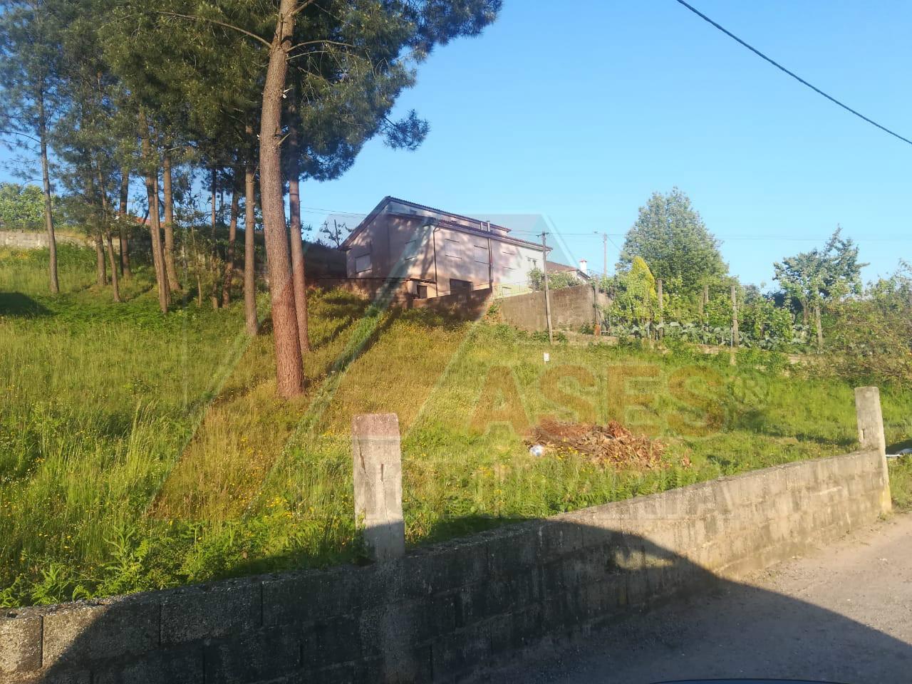 Terreno  Venda em Arco de Baúlhe e Vila Nune,Cabeceiras de Basto