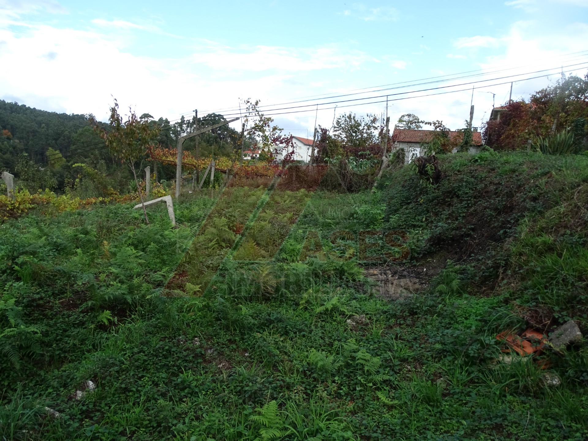 Moradia para Restaurar T2 Venda em Regadas,Fafe