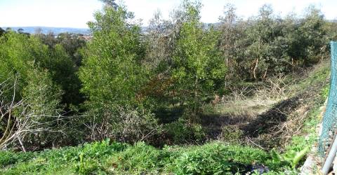 Terreno Para Construção T0 Venda em São Gens,Fafe