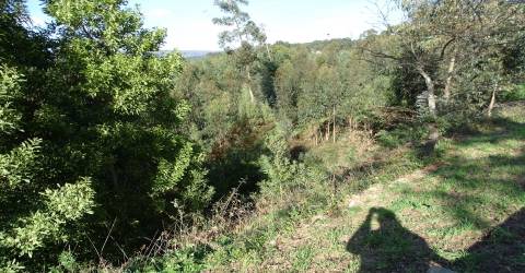 Terreno Para Construção T0 Venda em São Gens,Fafe