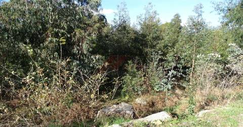 Terreno Para Construção T0 Venda em São Gens,Fafe