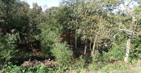 Terreno Para Construção T0 Venda em São Gens,Fafe