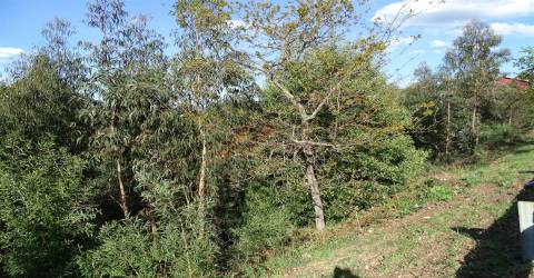 Terreno Para Construção T0 Venda em São Gens,Fafe