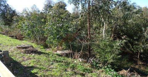 Terreno Para Construção T0 Venda em São Gens,Fafe