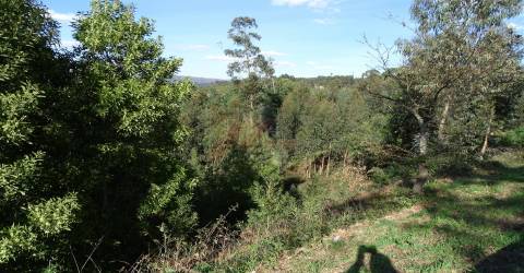 Terreno Para Construção T0 Venda em São Gens,Fafe