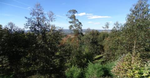 Terreno Para Construção T0 Venda em São Gens,Fafe