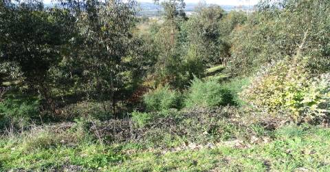Terreno Para Construção T0 Venda em São Gens,Fafe