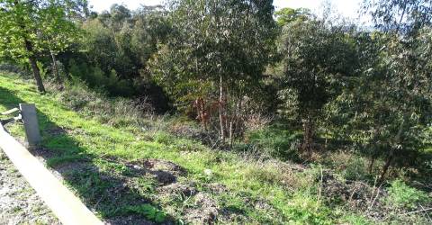 Terreno Para Construção T0 Venda em São Gens,Fafe