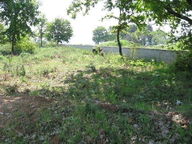 Terreno Urbano  Venda em Fragosela,Viseu