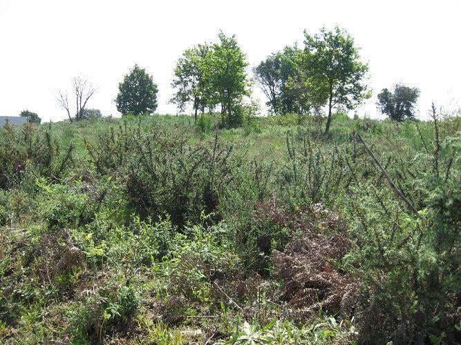 Terreno Urbano  Venda em Fragosela,Viseu