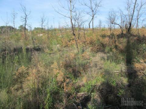 Terreno  Venda em Repeses e São Salvador,Viseu