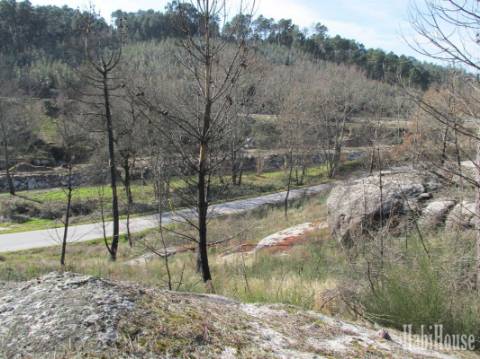Terreno  Venda em Repeses e São Salvador,Viseu